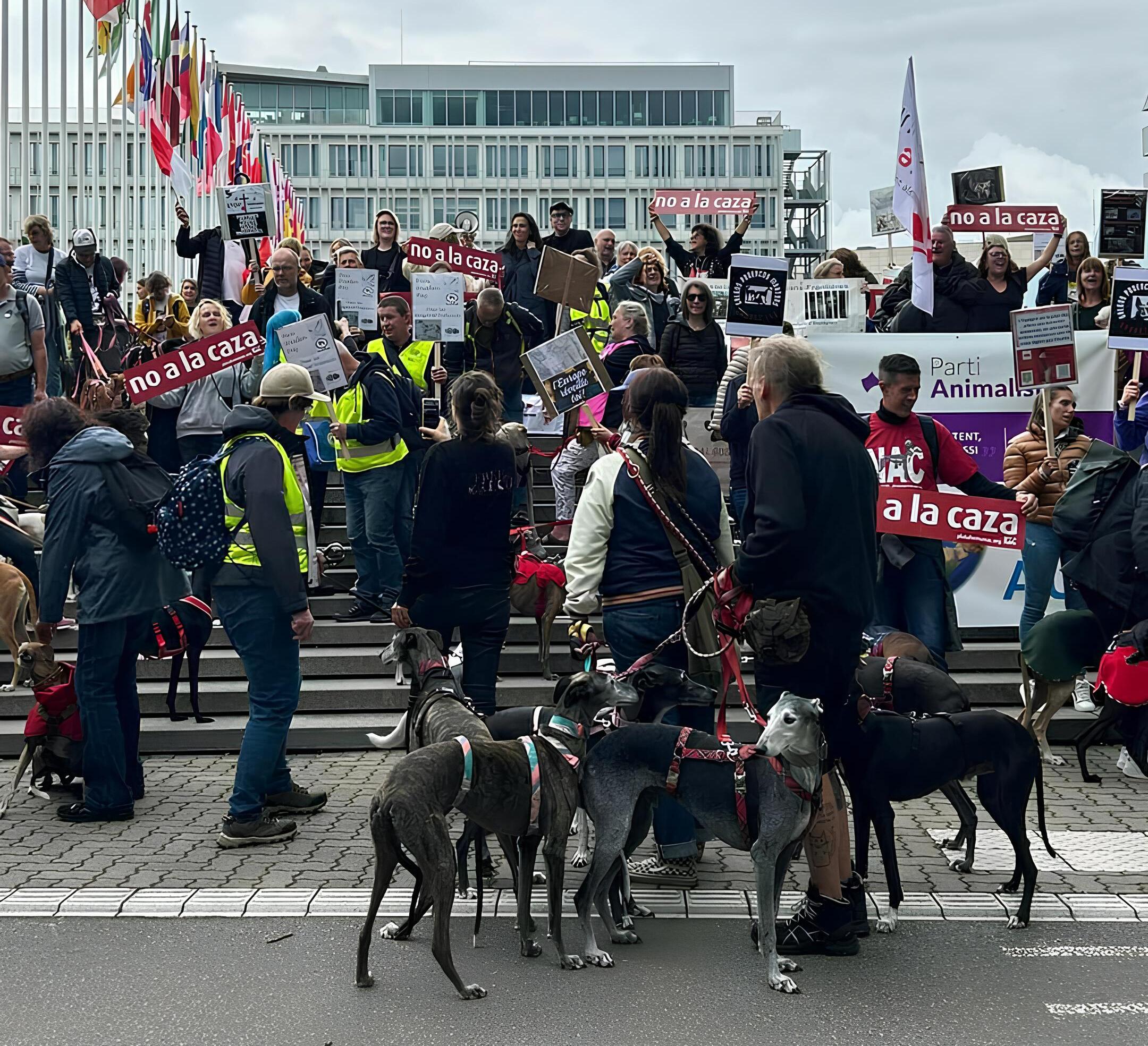 Einheitliches Tierschutzgesetz in Europa – Demo vor dem EU-Parlament in Straßburg